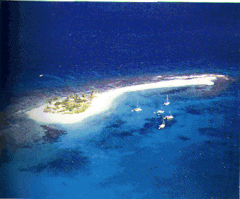 image1.gif